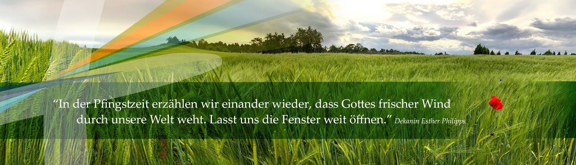 Quelle: Robert Nellis